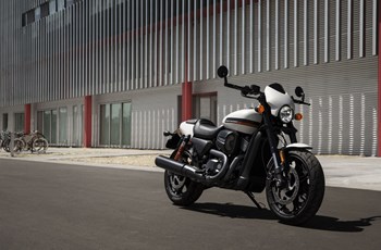 Harley-Davidson Street Rod 2020 - Bild 5