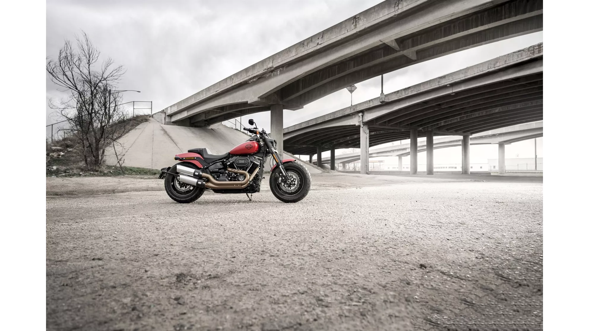 Harley-Davidson Softail Fat Bob 114 FXFBS - Image 4 Harley-Davidson Softail Fat Bob 114 FXFBS - Image 4