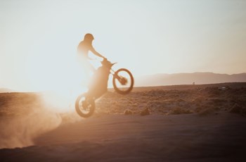 Zero FX 2020 - Bild 5 Zero FX 2020 - Bild 5