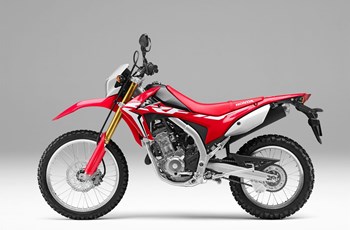 Honda CRF250L 2020 - Bild 6 Honda CRF250L 2020 - Bild 6