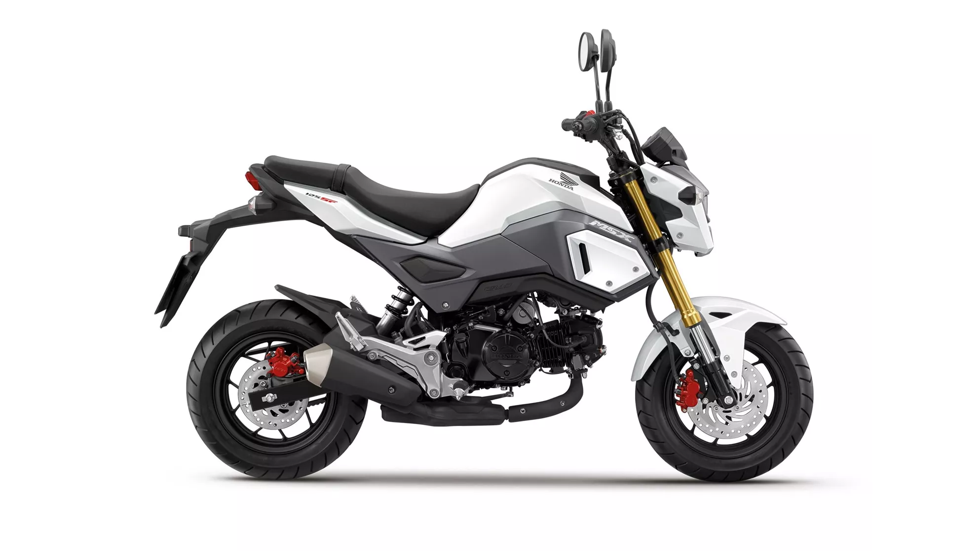 Honda MSX 125 - Bild 2 Honda MSX 125 - Bild 2