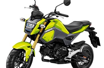 Honda MSX 125 2020 - Bild 6 Honda MSX 125 2020 - Bild 6