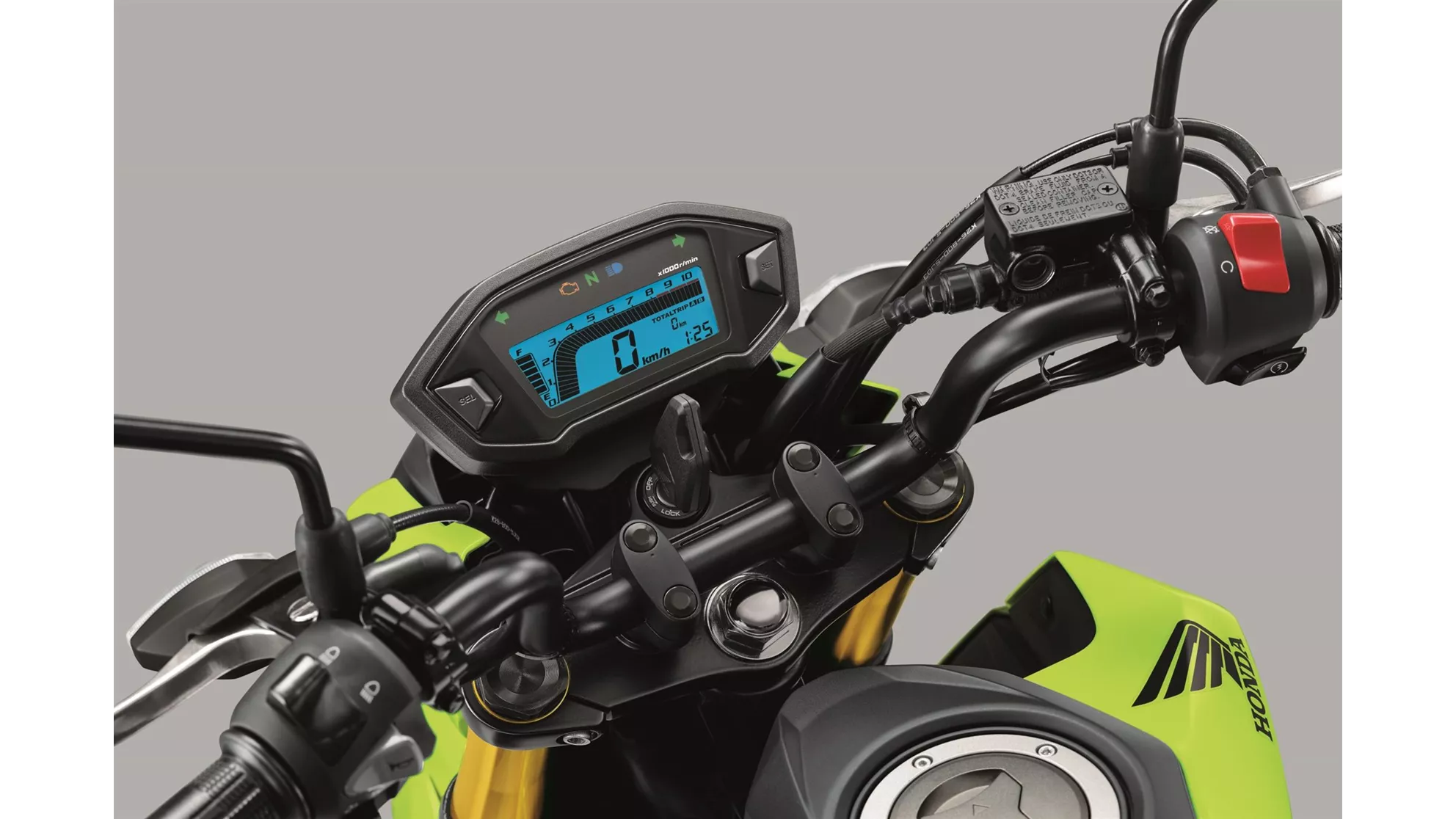 Honda MSX 125 - Bild 5 Honda MSX 125 - Bild 5