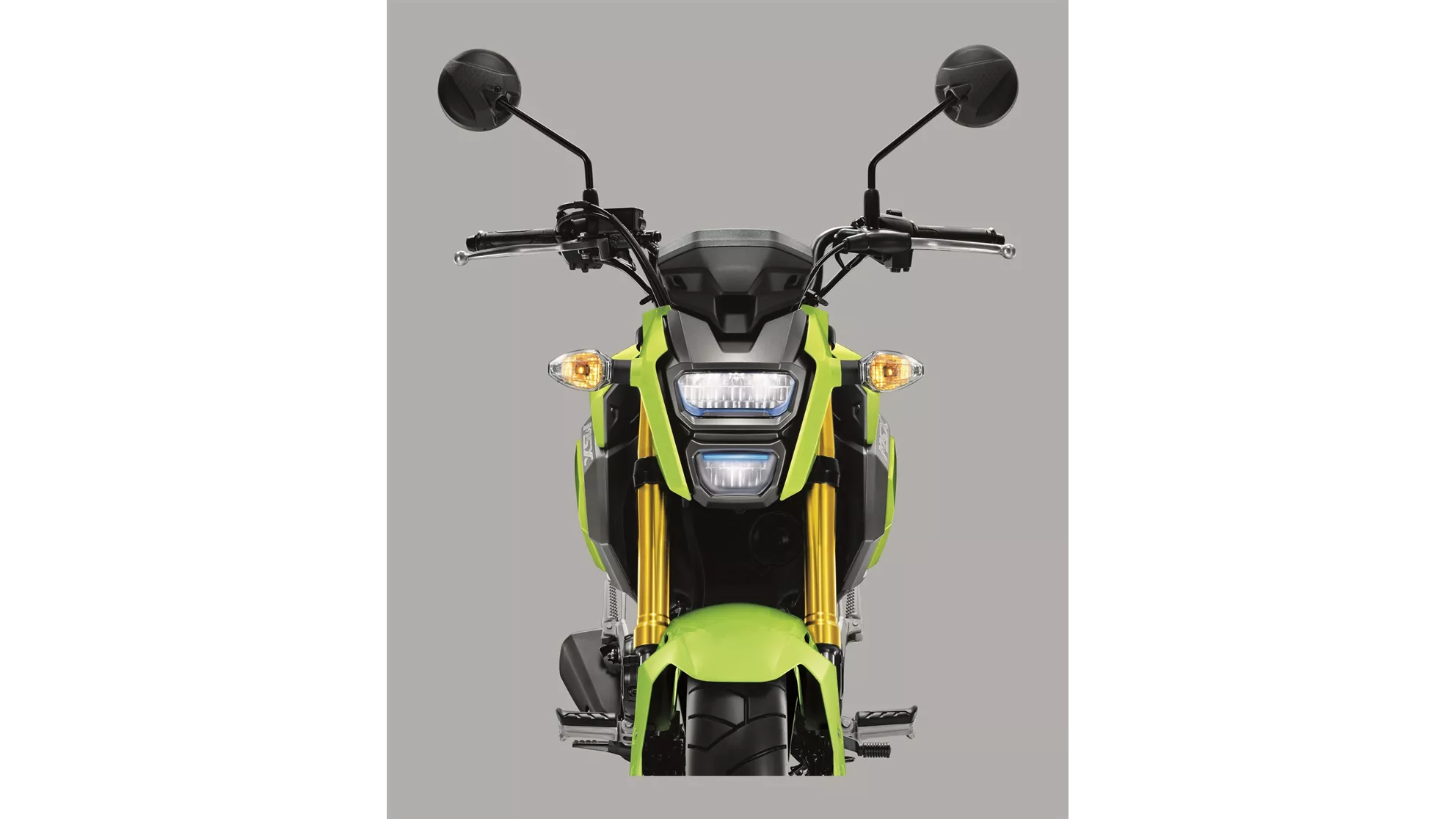 Honda MSX 125 - Bild 8 Honda MSX 125 - Bild 8