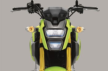 Honda MSX 125 2020 - Bild 10 Honda MSX 125 2020 - Bild 10
