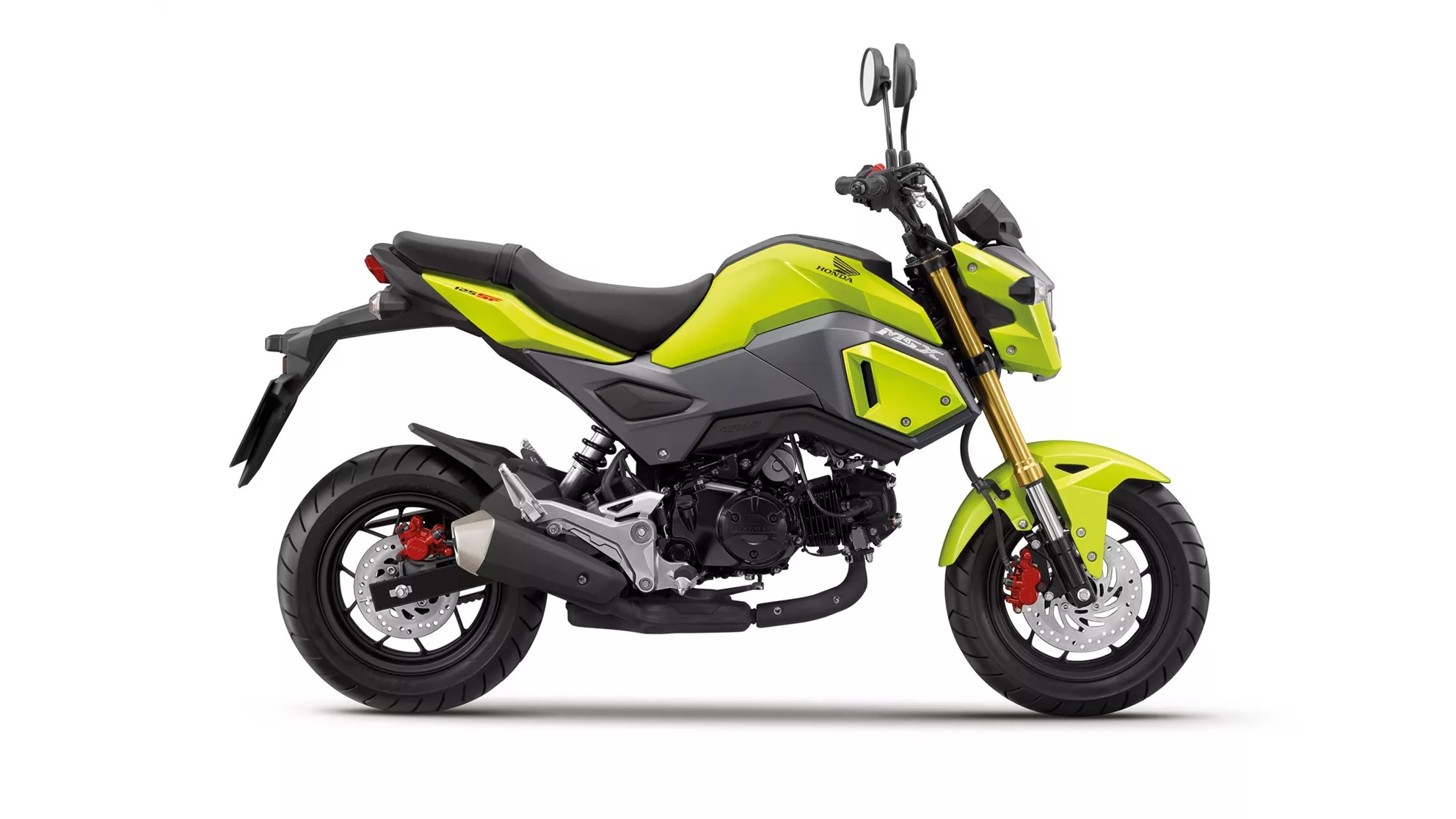 Honda MSX 125 - Bild 10 Honda MSX 125 - Bild 10