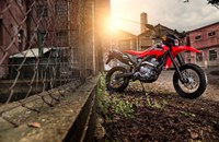Honda CRF250M 2020 - Bild 13