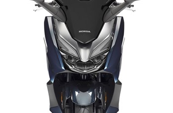 Honda Forza 300 2020 - Bild 10 Honda Forza 300 2020 - Bild 10