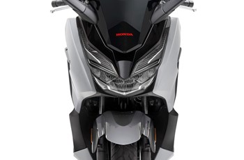 Honda Forza 300 2020 - Bild 39 Honda Forza 300 2020 - Bild 39