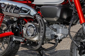 Honda Monkey 125 2020 - Bild 17