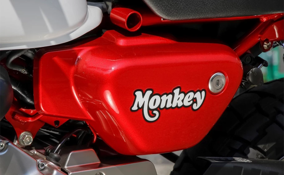 Honda Monkey 125 Bild 20: Honda Monkey 125