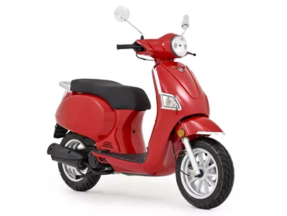 Beeline Memory 50 2020 Beeline Memory 50 2020