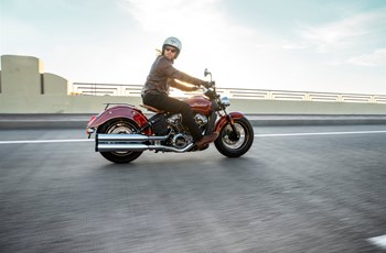Indian Scout 100th Anniversary 2020 - Bild 3