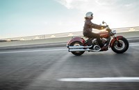 Indian Scout 100th Anniversary 2020 - Bild 13