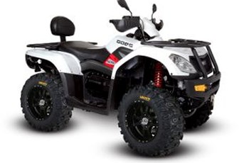 Goes Cobalt LTD 2020 - Bild 2