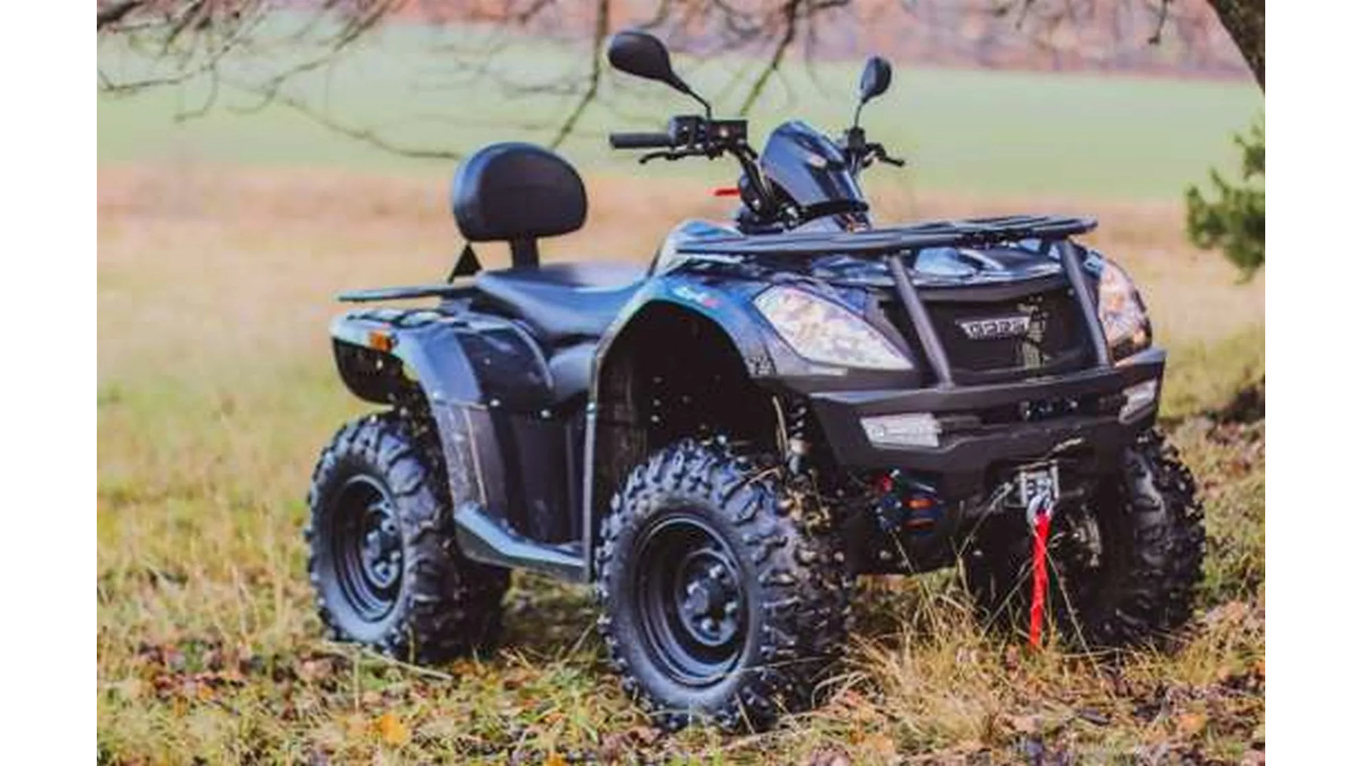 Goes Cobalt - Image 12 Goes Cobalt - Image 12