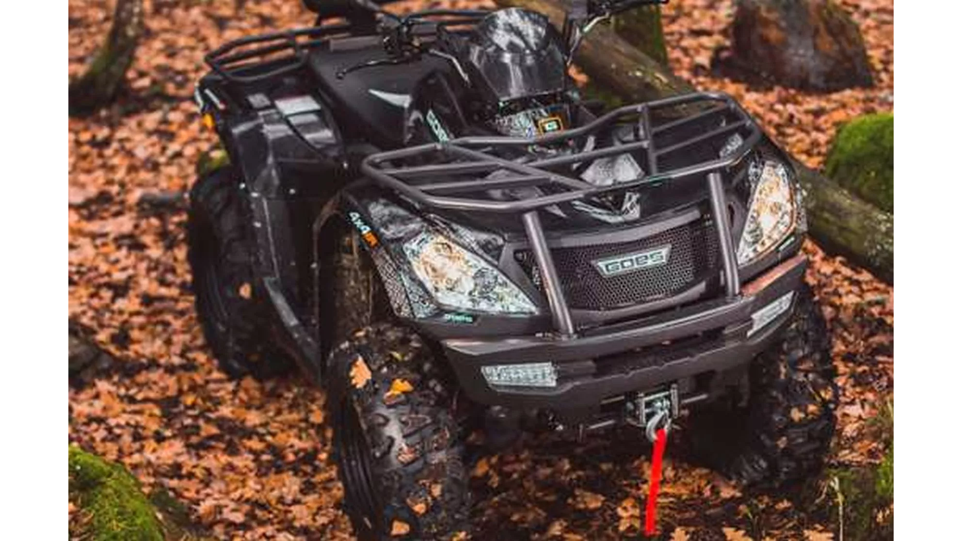 Goes Cobalt - Image 17 Goes Cobalt - Image 17