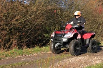 Goes Iron LTD 2020 - Bild 2