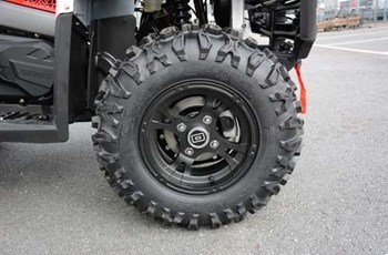 Goes Iron LTD 2020 - Bild 6