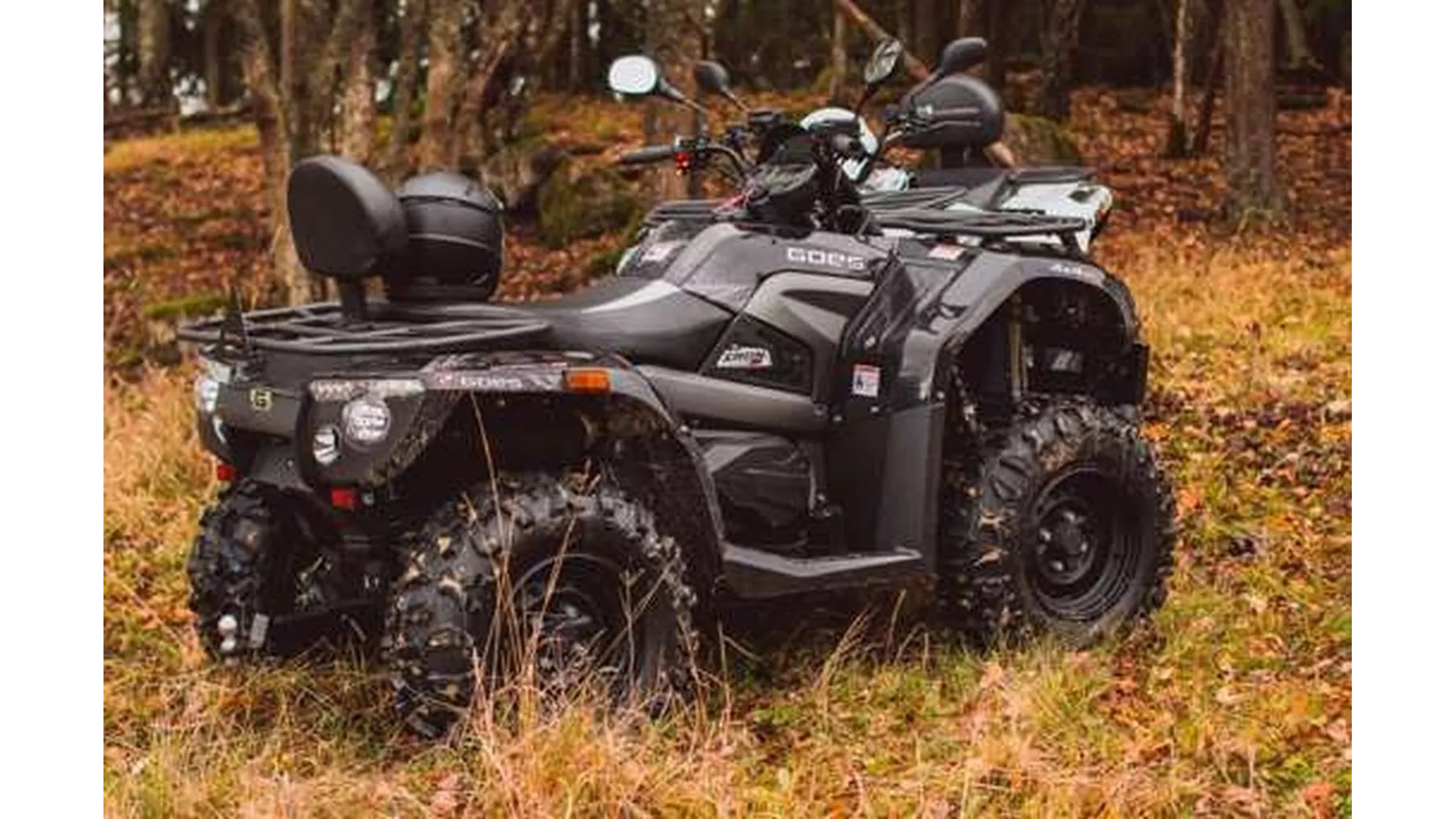 Goes Iron - Image 15 Goes Iron - Image 15