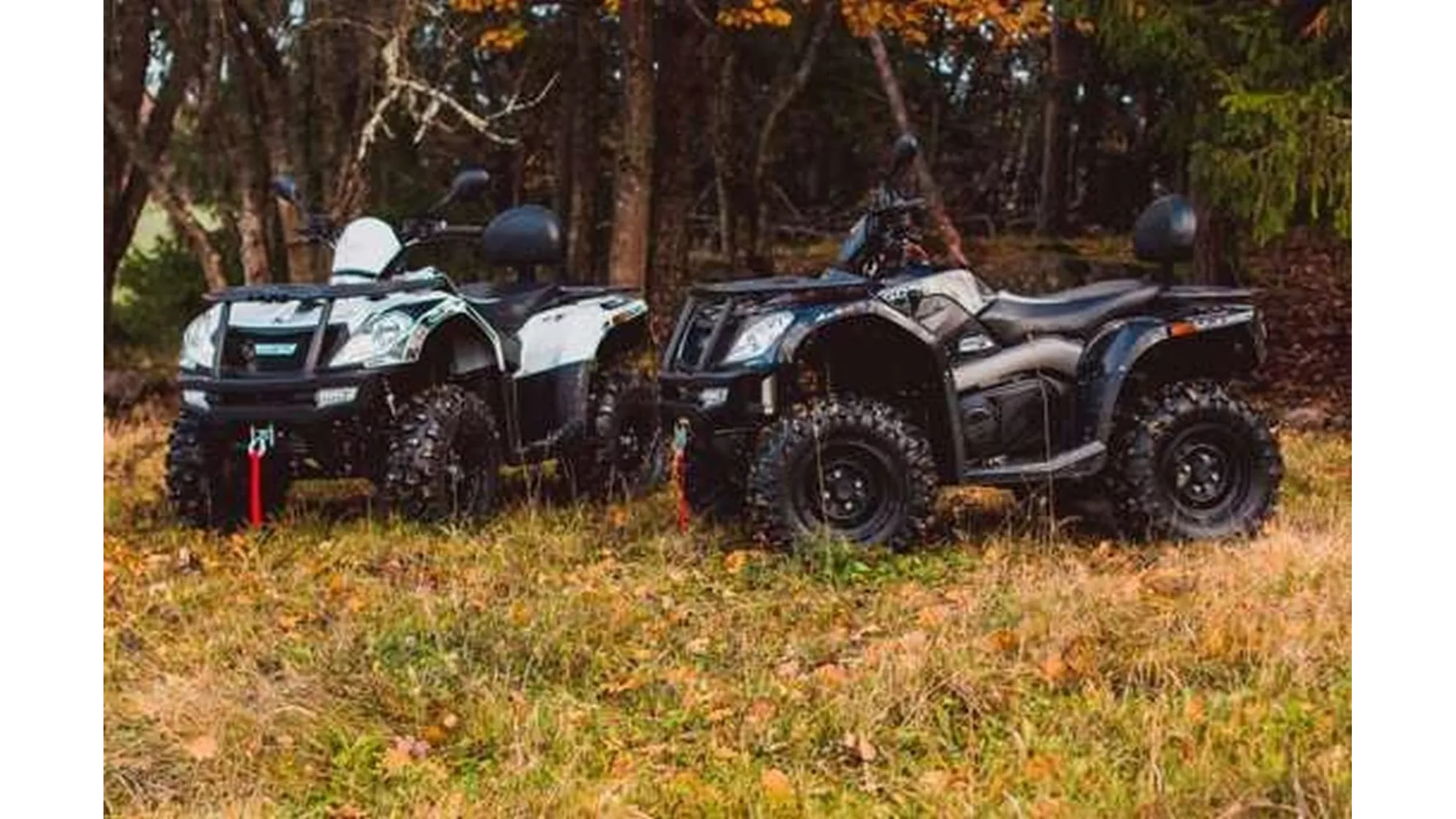 Goes Iron - Image 16 Goes Iron - Image 16