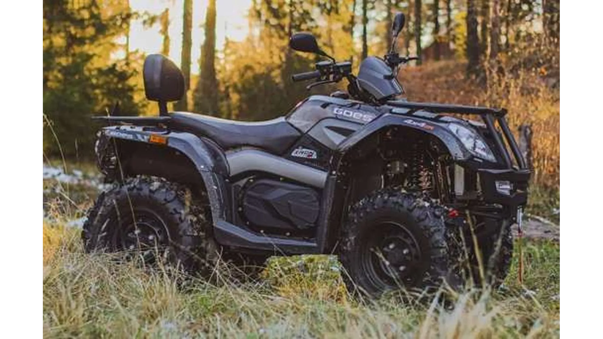 Goes Iron - Image 19 Goes Iron - Image 19