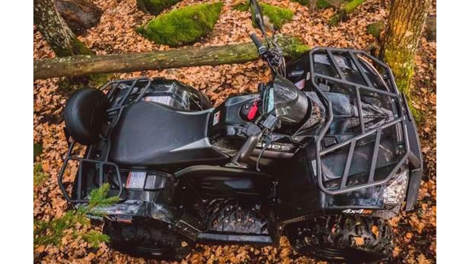 Goes Iron - Image 22 Goes Iron - Image 22