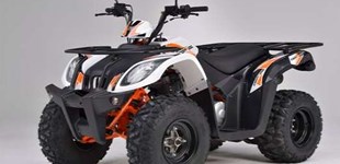 Kymco Maxxer 250 2009 vs Goes Copper 2020