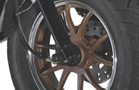 Tauris Piccadilly 50 2020 - Bild 5