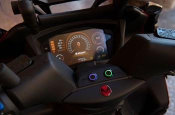 Malaguti Madison 300 Anniversary Edition 2020 - Bild 4