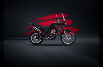 Malaguti Dune 125 X Black Edition 2020 - Bild 3 Malaguti Dune 125 X Black Edition 2020 - Bild 3