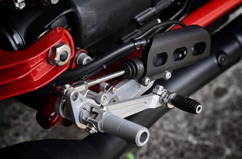 Moto Guzzi V7 III Racer 2020 - Bild 17