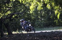 Moto Guzzi V7 III Special 2020 - Bild 17