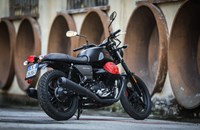Moto Guzzi V7 III Carbon 2020 - Bild 6
