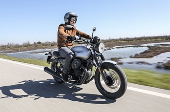 Moto Guzzi V7 III Rough 2020 - Bild 10 Moto Guzzi V7 III Rough 2020 - Bild 10