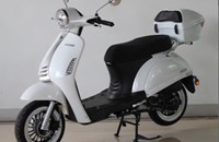 Motowell Elenor 50 Limited 2020 - Bild 3