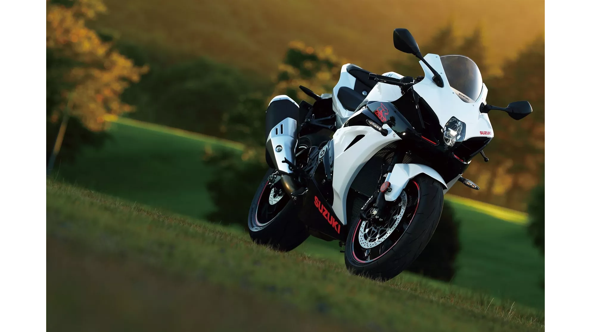 Suzuki GSX-R 1000 - Image 6 Suzuki GSX-R 1000 - Image 6