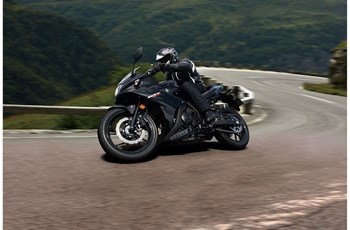 Suzuki GSX250R 2020 - Bild 4