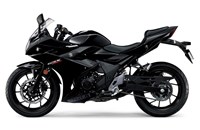 Suzuki GSX250R 2020 - Bild 7