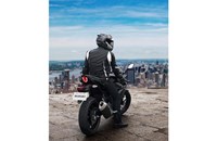 Suzuki GSX250R 2020 - Bild 11