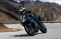 Suzuki GSX250R 2020 - Bild 13