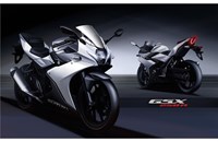 Suzuki GSX250R 2020 - Bild 17