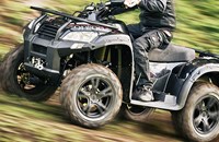 Online X7.5 2020 - Bild 5