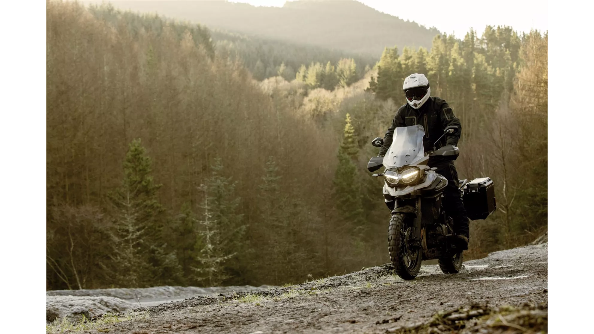 Triumph Tiger 1200 Desert Edition - Image 4 Triumph Tiger 1200 Desert Edition - Image 4