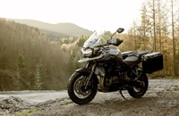 Triumph Tiger 1200 Desert Edition 2020 - Bild 20 Triumph Tiger 1200 Desert Edition 2020 - Bild 20