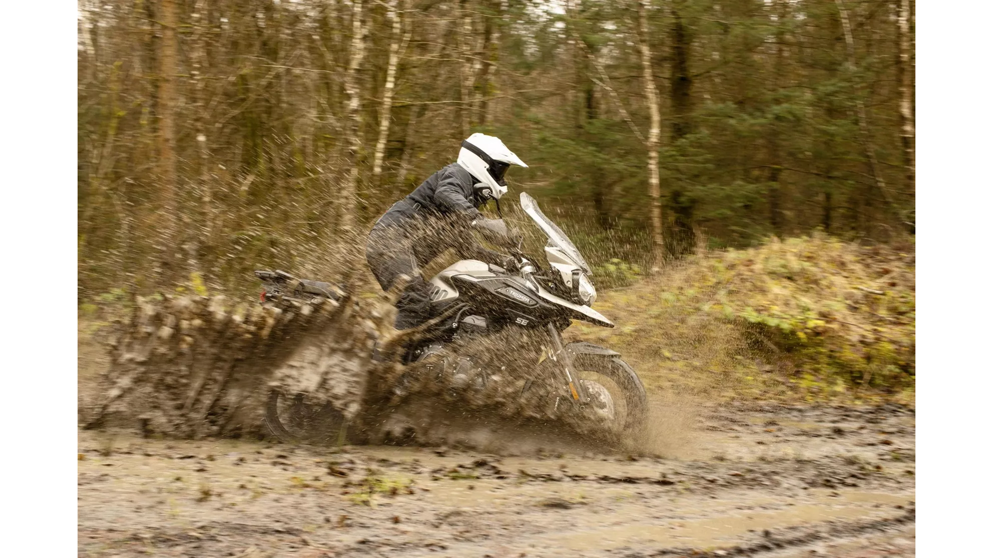 Triumph Tiger 1200 Desert Edition - Image 6 Triumph Tiger 1200 Desert Edition - Image 6