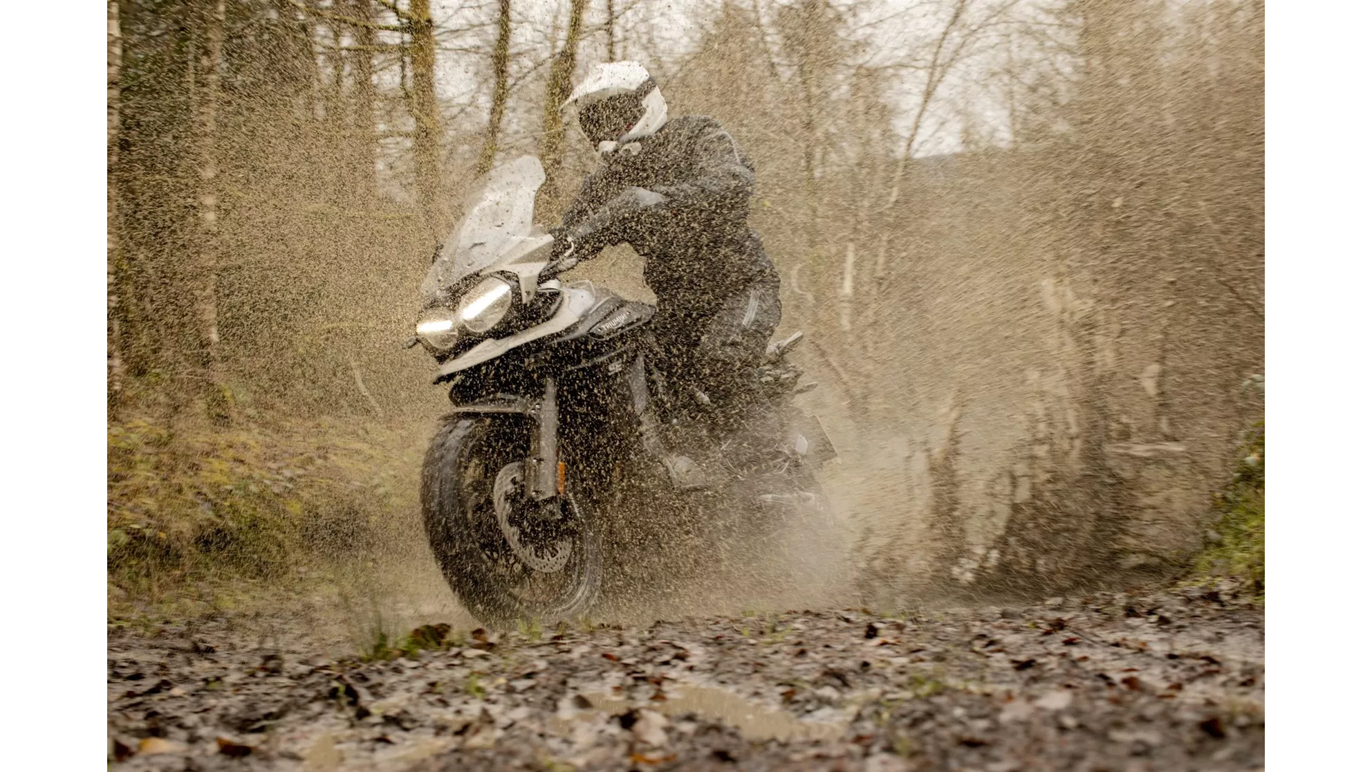 Triumph Tiger 1200 Desert Edition - Image 1 Triumph Tiger 1200 Desert Edition - Image 1