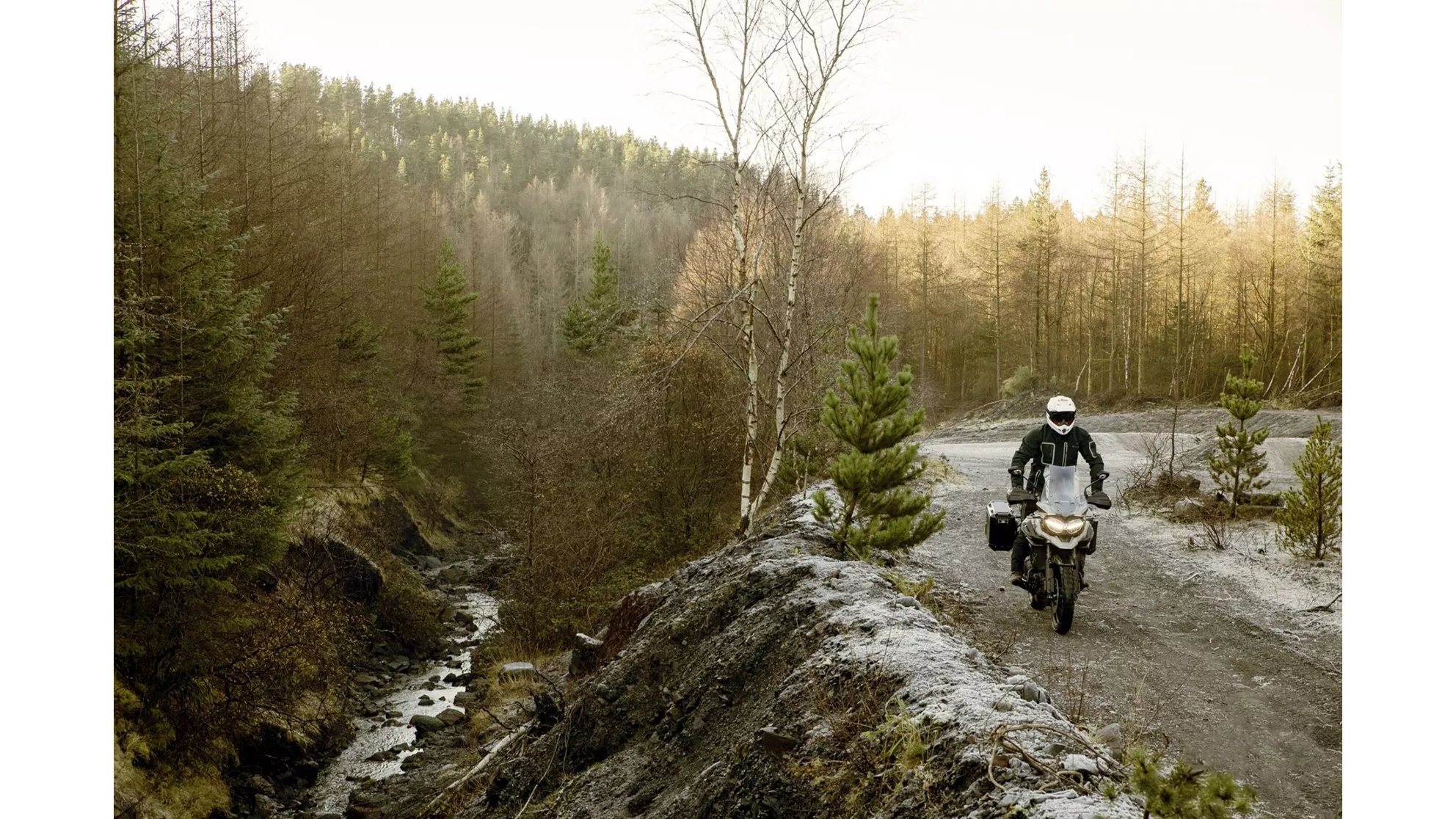 Triumph Tiger 1200 Desert Edition - Image 11 Triumph Tiger 1200 Desert Edition - Image 11