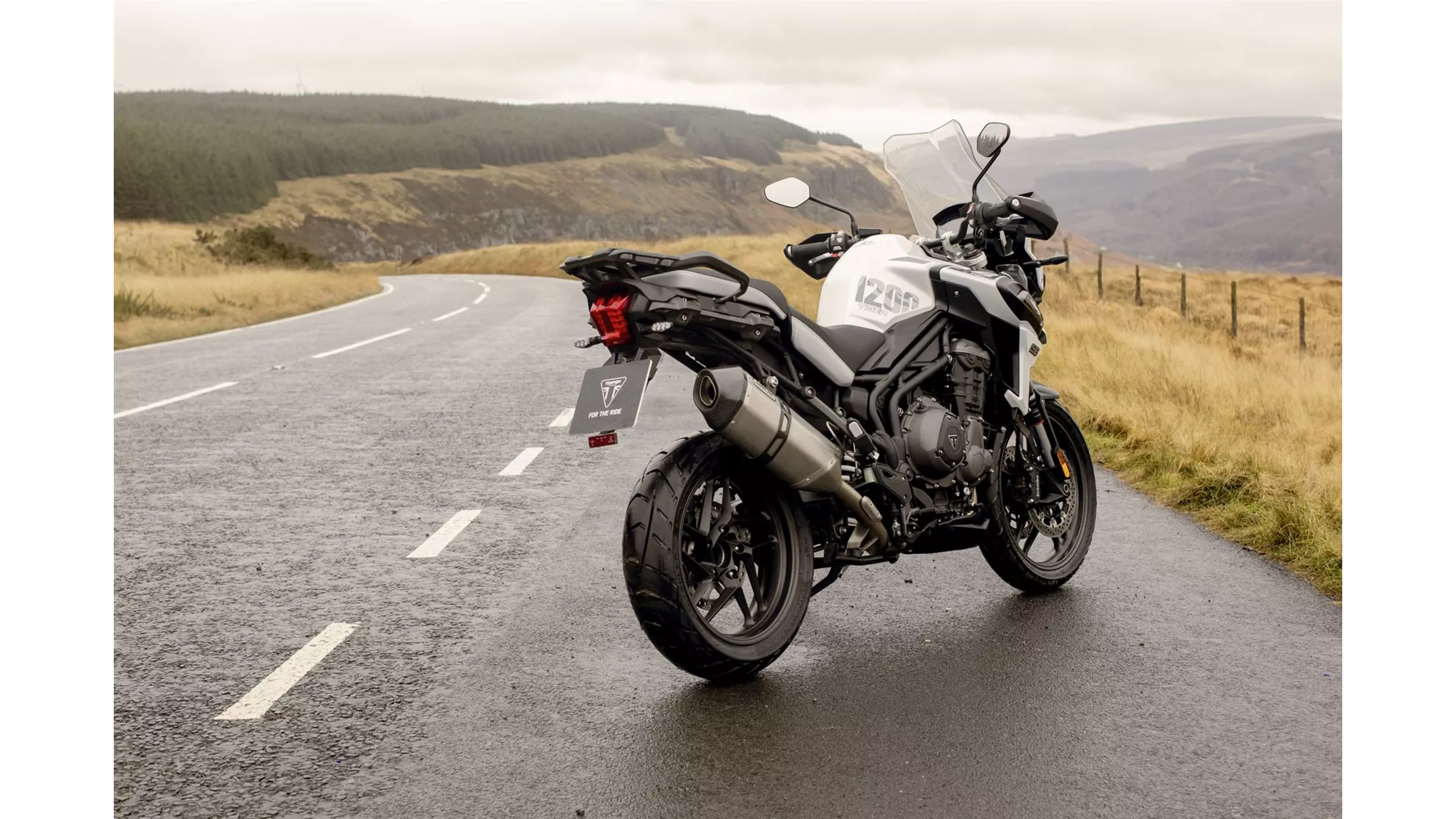 Triumph Tiger 1200 Alpine Edition - Image 2 Triumph Tiger 1200 Alpine Edition - Image 2