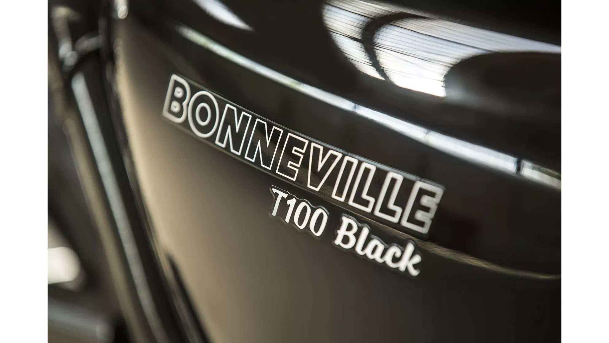 Triumph Bonneville T100 Black - Image 22